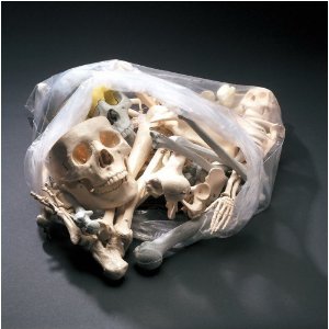 Bags of Bones