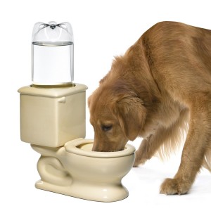 Dog Toilet Bowl