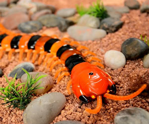 remote controlled centipede