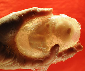 Fetus Soap