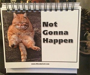 Funny Cat Mood Cards