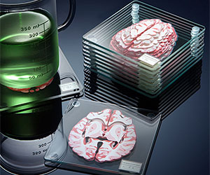 brain specimen coasters