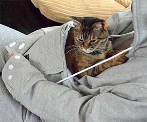Pet Pouch Hoodie