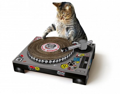 Cat DJ Scratching Deck