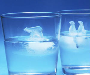 Penguin and Polar Bear Ice Cubes