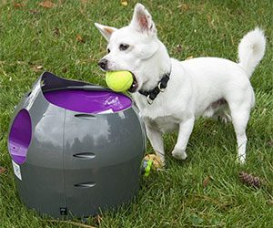 Automatic Ball Launcher for Pets
